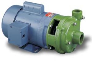 110 VOLT ACE PUMP (MPH100 75SE)
